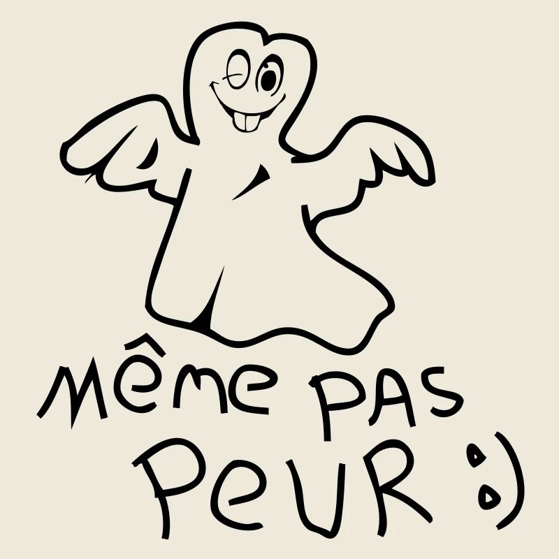 meme pas peur