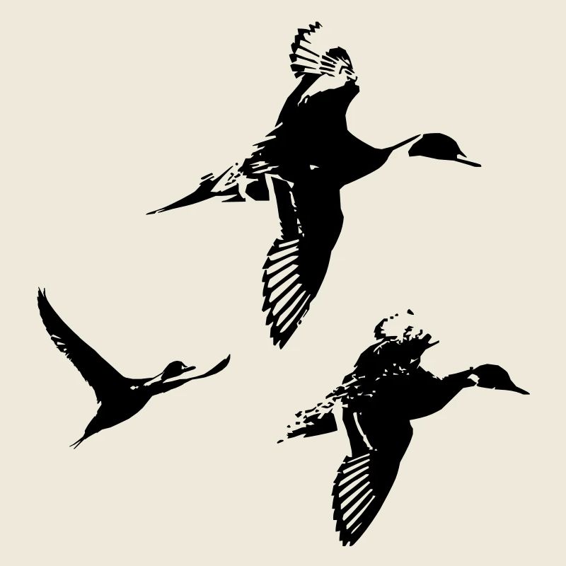 groupe canards pillet