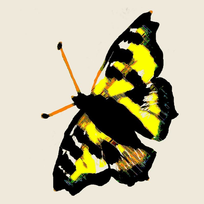 schmetterling