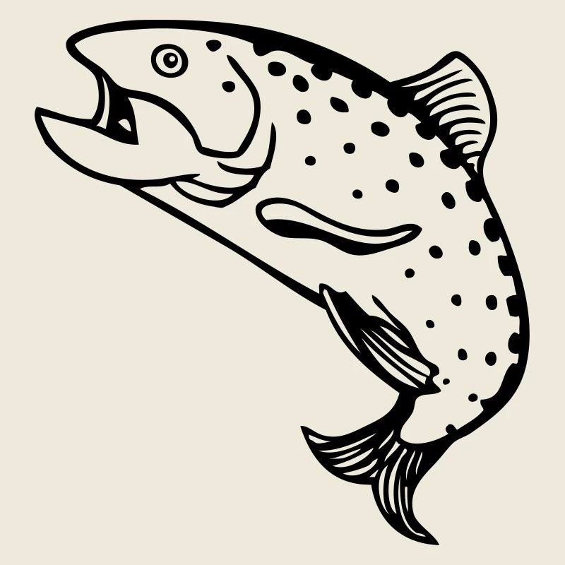 dessin pêcheur Truite saumon poisson pêche fun