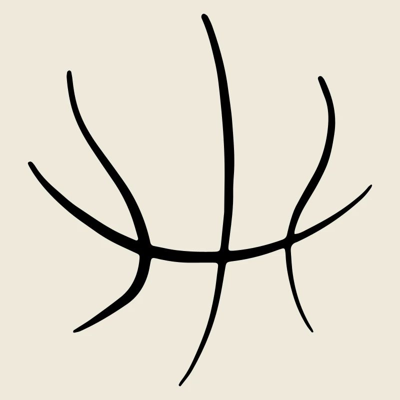 Basketball 06