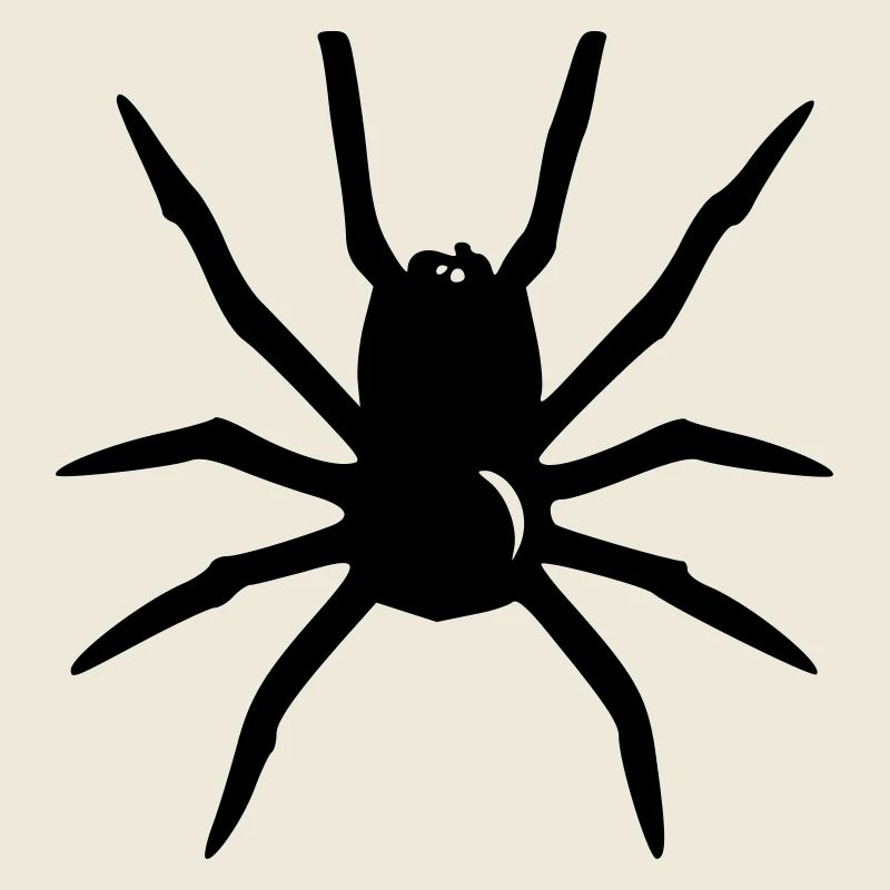 Araignée