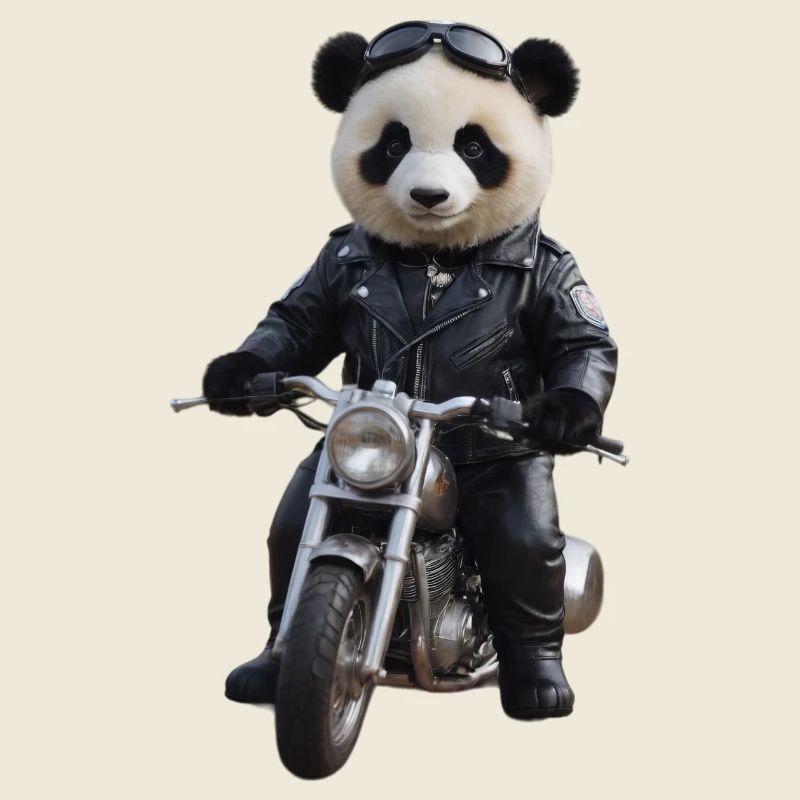Biker Panda