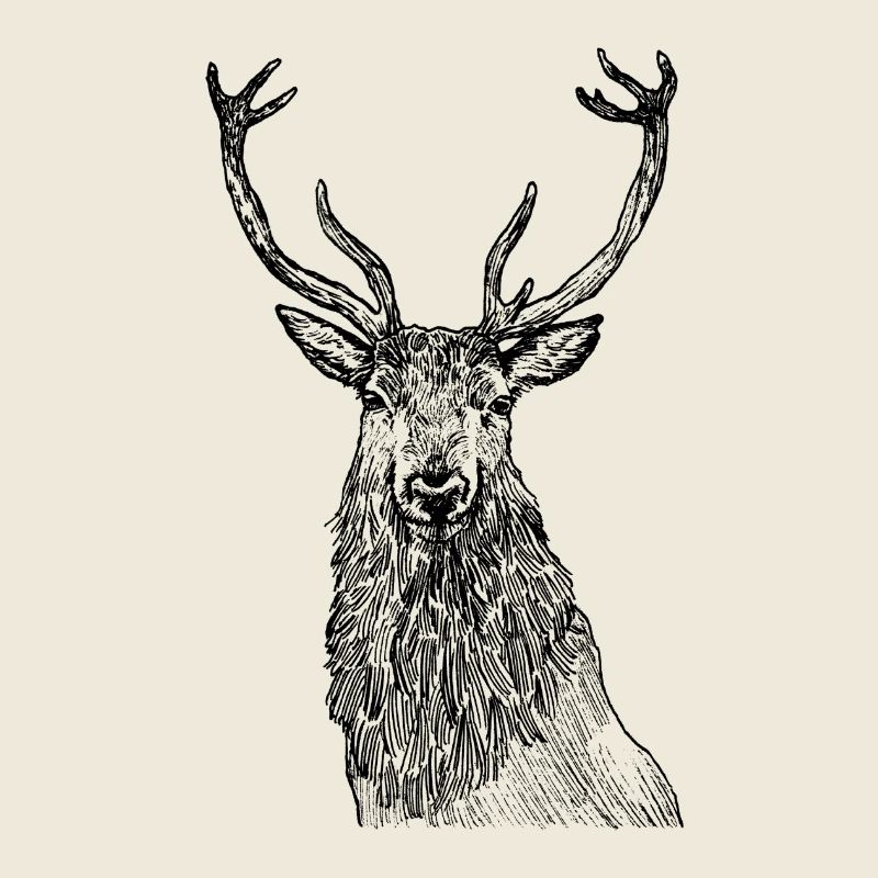 Würdevoller Hirsch