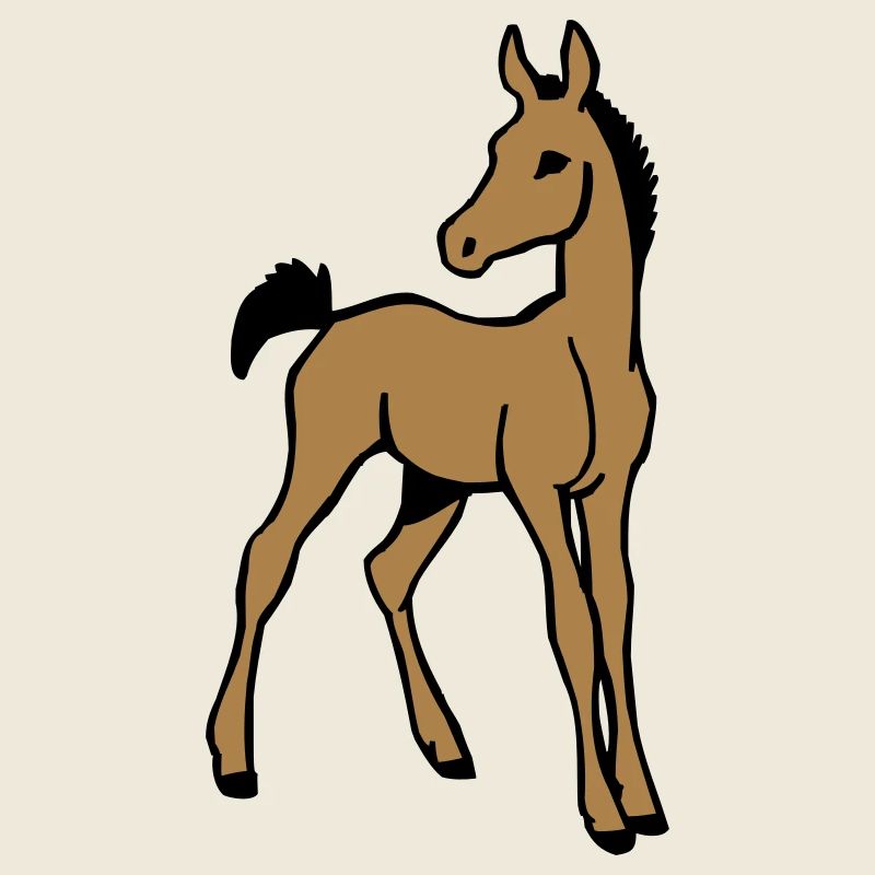 Foal