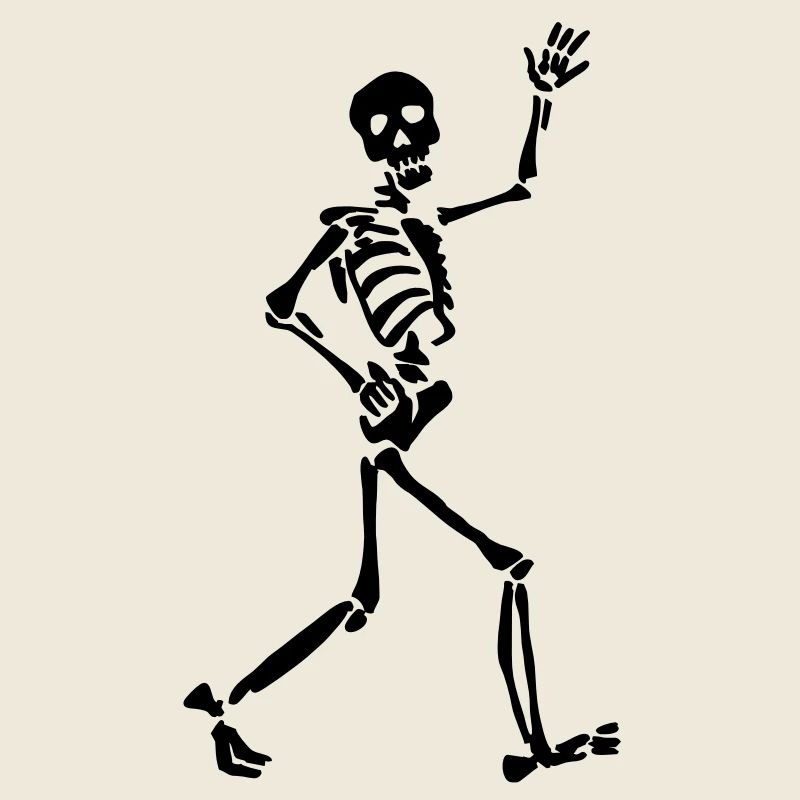 Skeletton