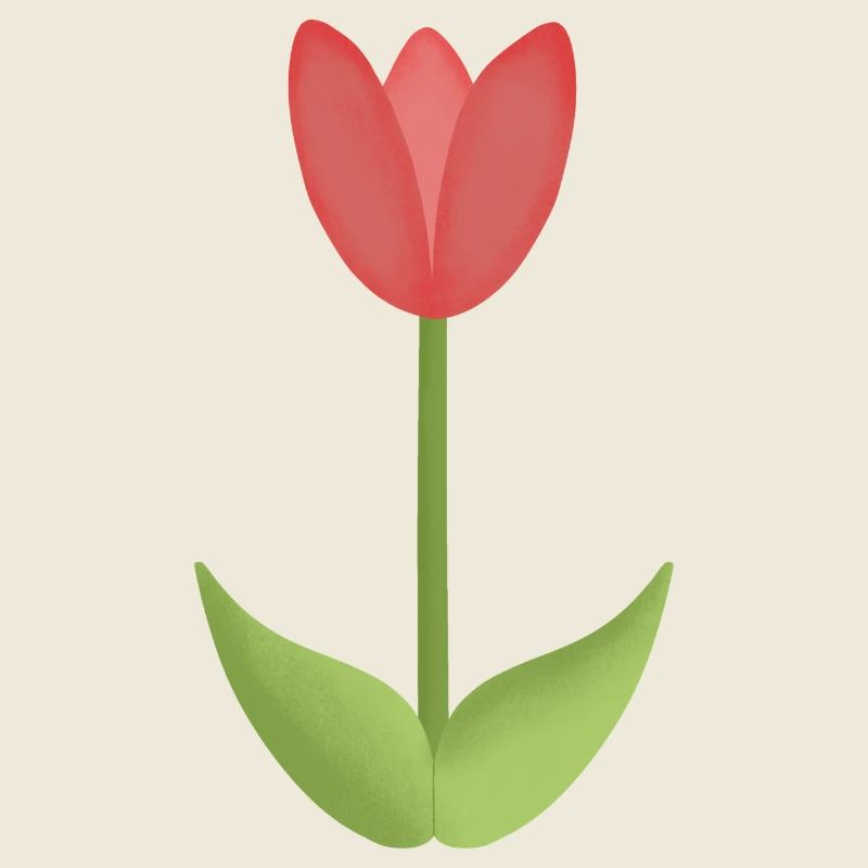 red tulip