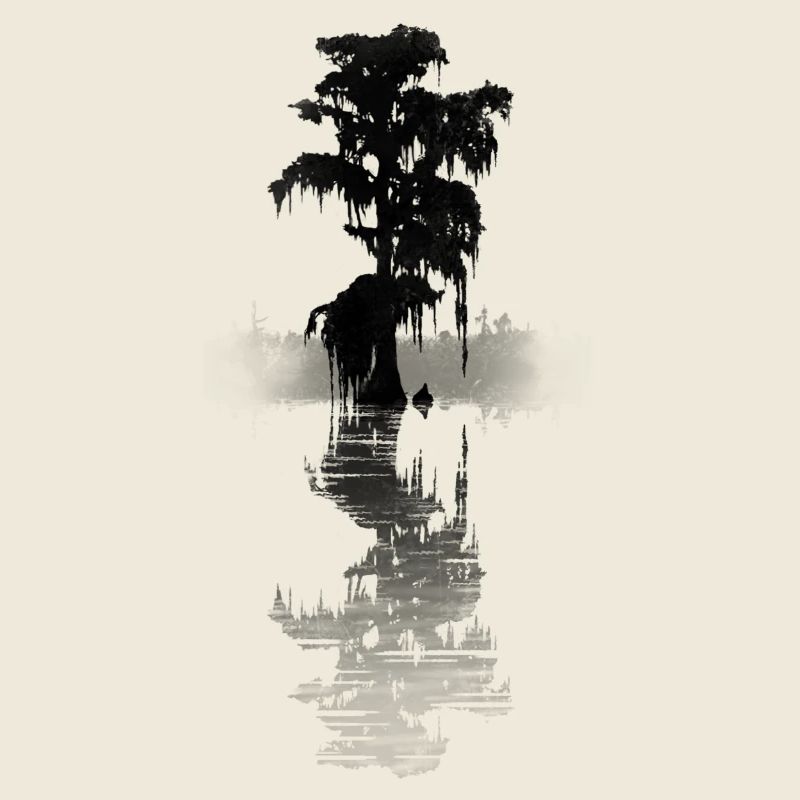 bald_cypress_