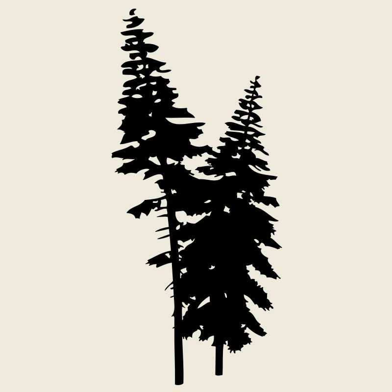 conifers