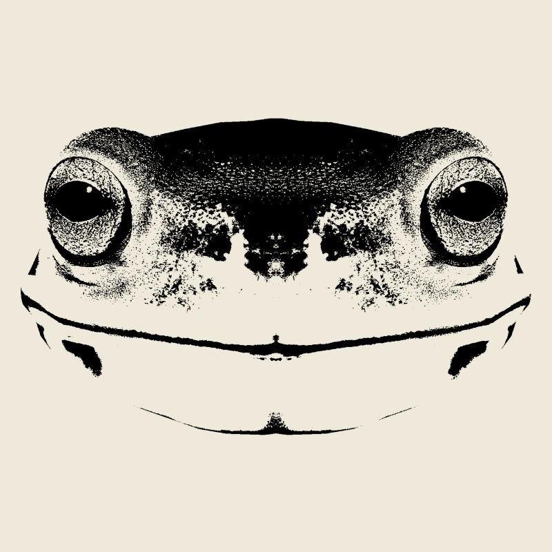 Frosch / Gesicht / Visage de grenouille