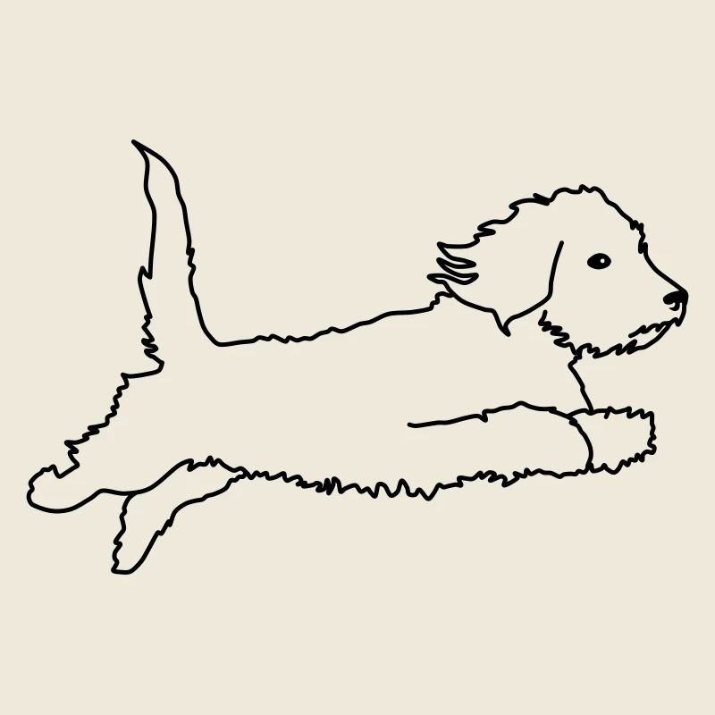 Teckel à poil dur volant