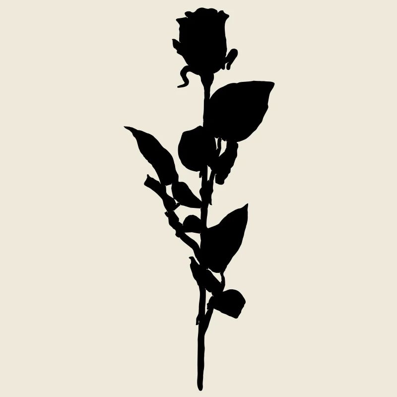 rose