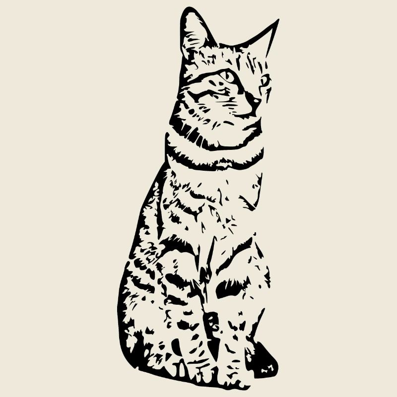 Cat black