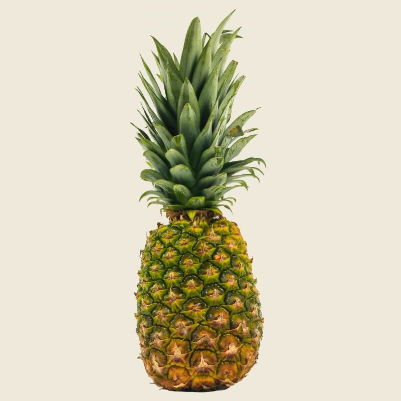 Ananas pineapple