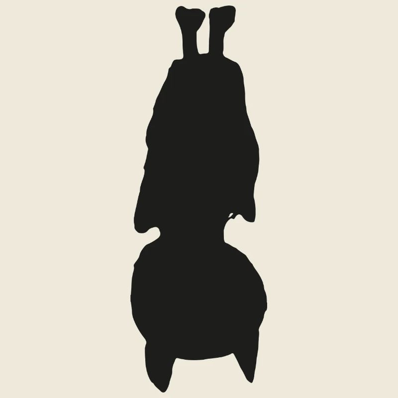 Bat