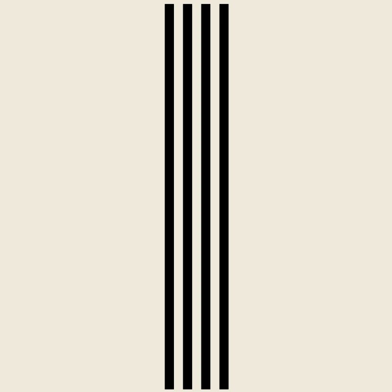 skidmarks