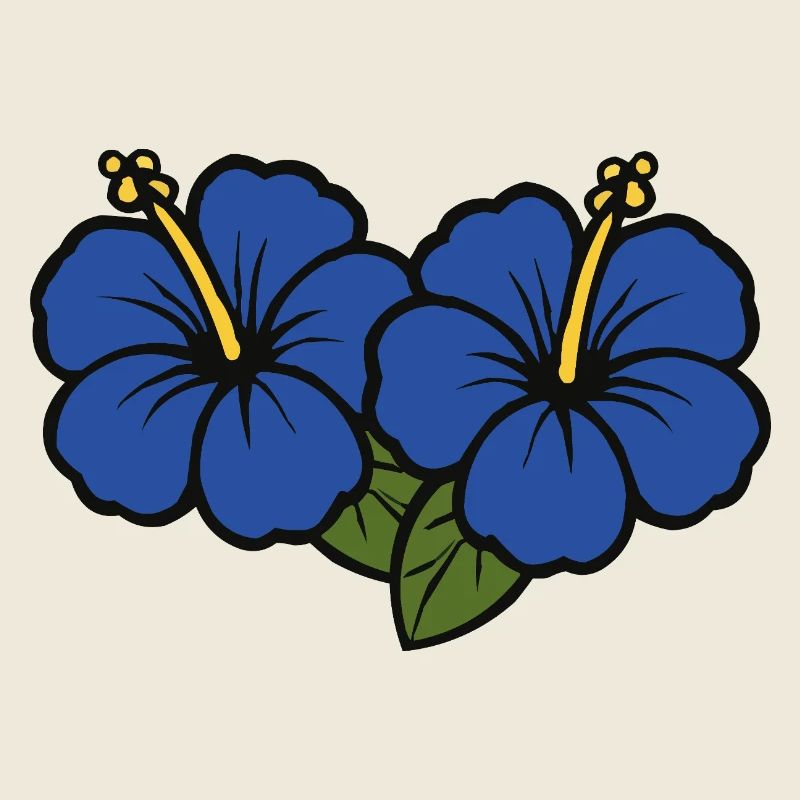 Fleurs d’hibiscus 2