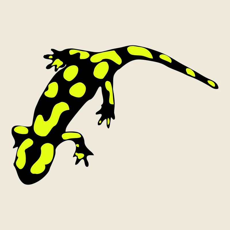 Feuersalamander (ital.)