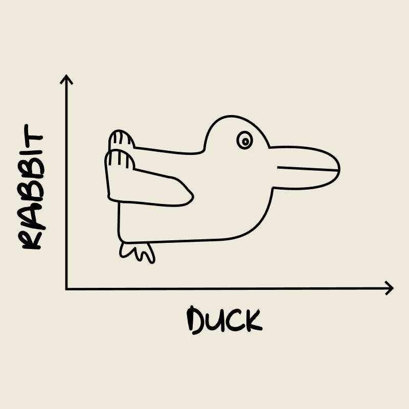 Duck'n Rabbit