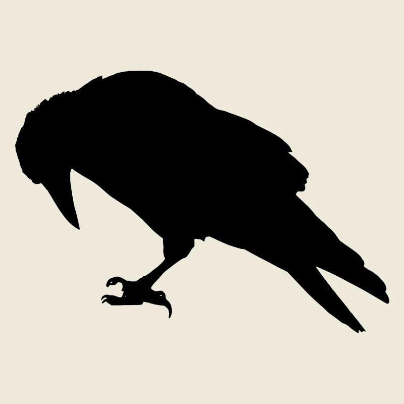 Expandables Corbeau / Corbeau / Raabe assis