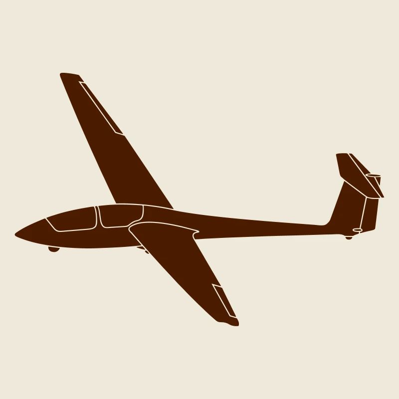ASK21 Segelflugzeug