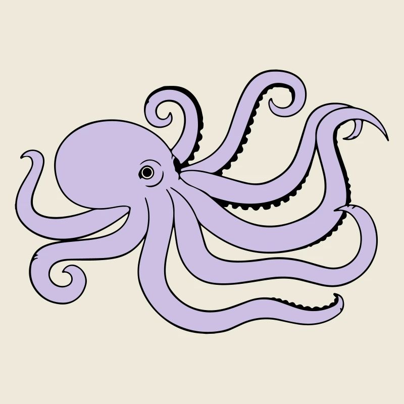 octopus