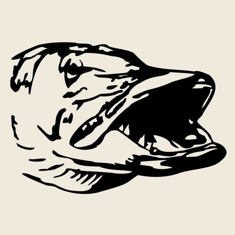 as31_hecht