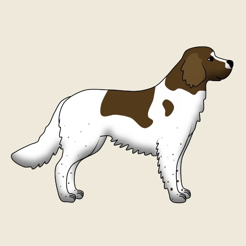 small Münsterländer