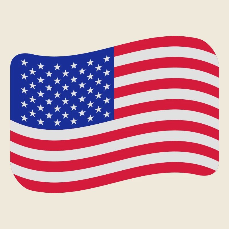 usa flag