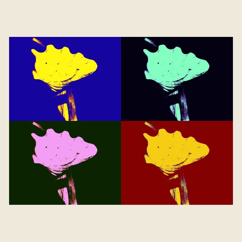 Shell Imagination