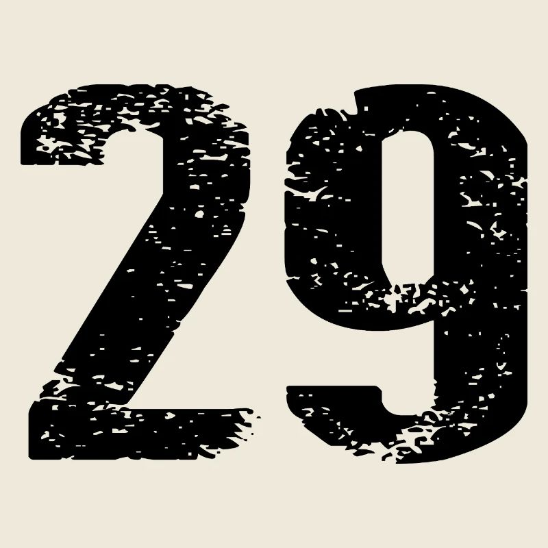 29 Number Jersey
