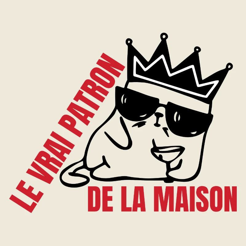 Le vrai patron de la maison chat