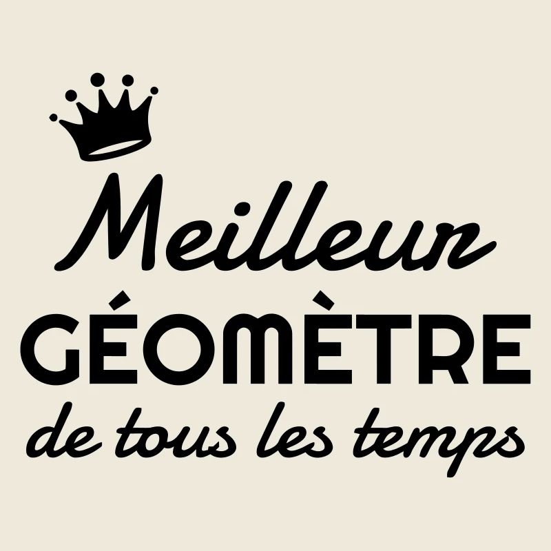 Surveyor / Vermesser / Géomètre / Topographer