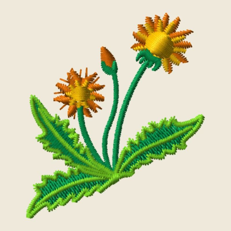 Dandelion