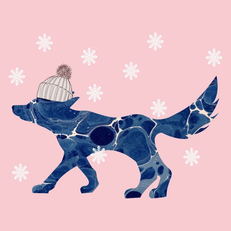 fuchs mit mütze e 12