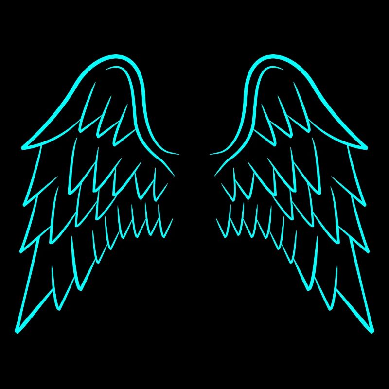 Ailes d'ange ailes
