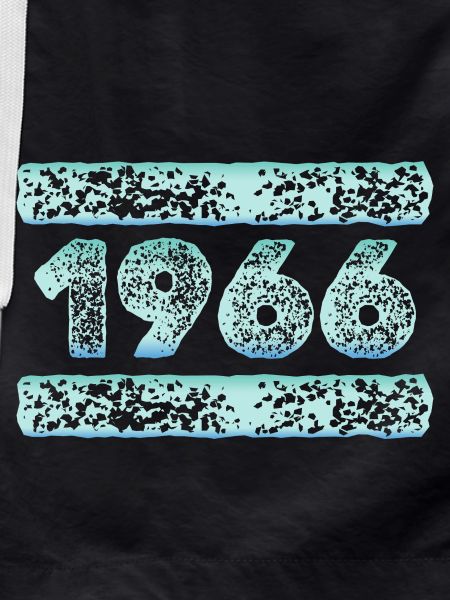 Year 1966
