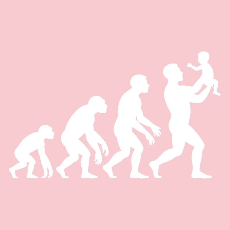 Evolution from monkey to dad