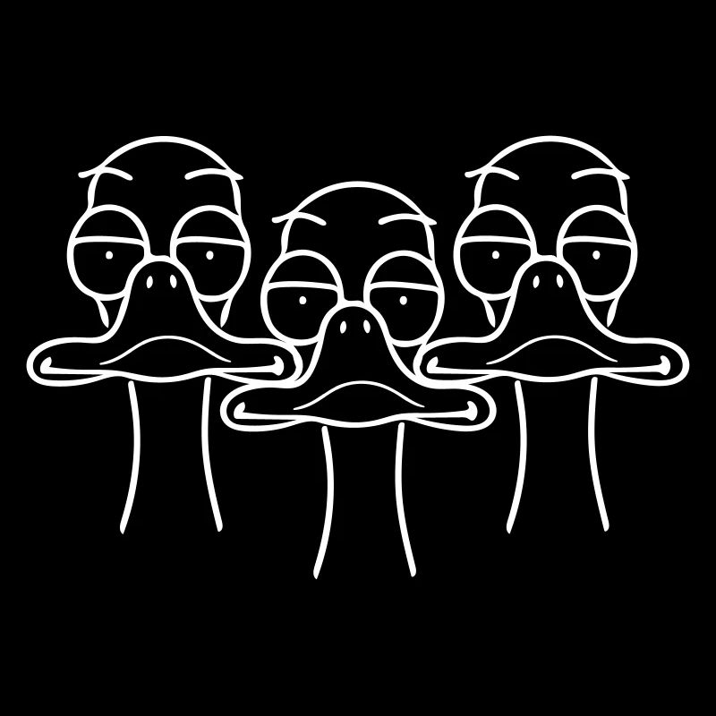 Three funny ducks