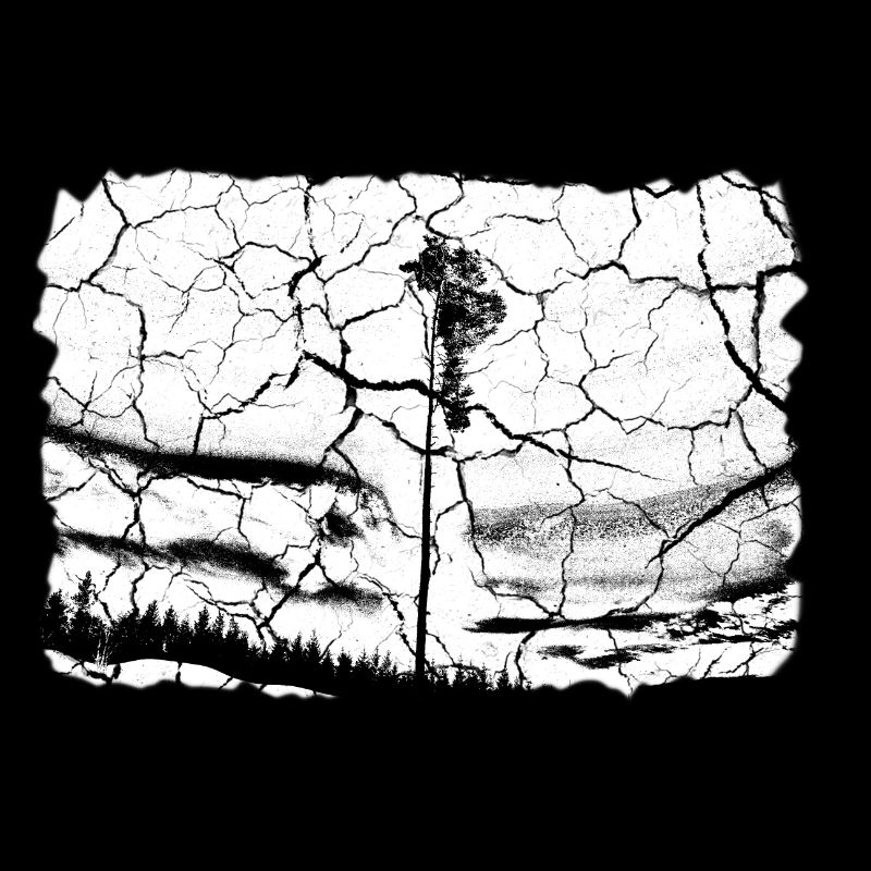 Natur Baum