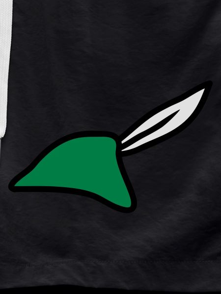 Robin Hood Hat