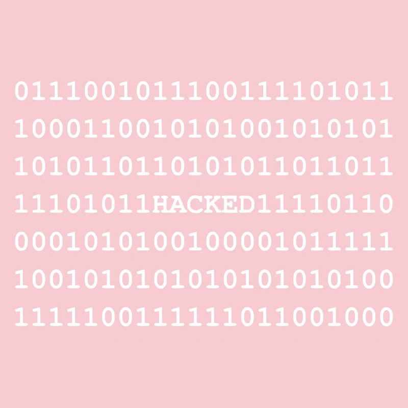 Hacked - Hacker - Nerd - Noob - Matrix