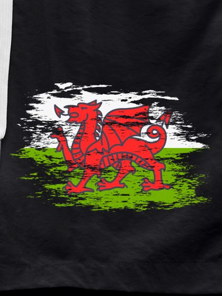 Wales flag used