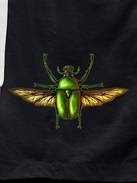 Insect