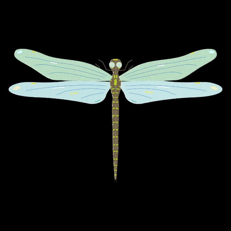 Libelle, Insekt, farbig