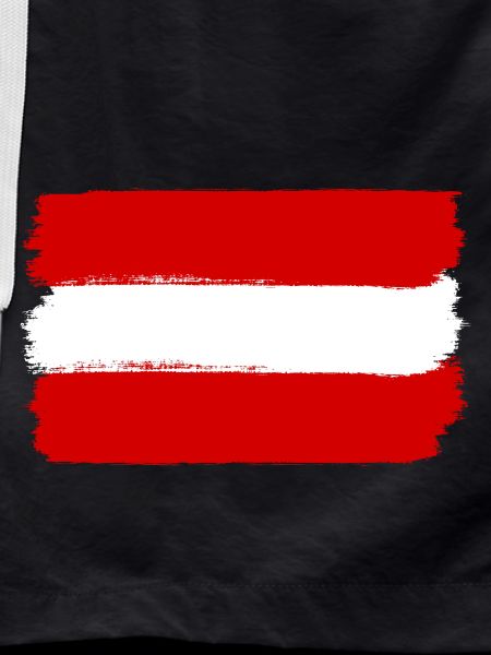 Austria flag used look