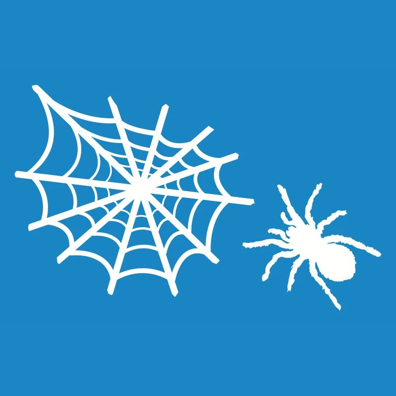 spinne spinnennetz