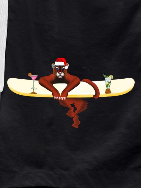 Cat on a surfboard
