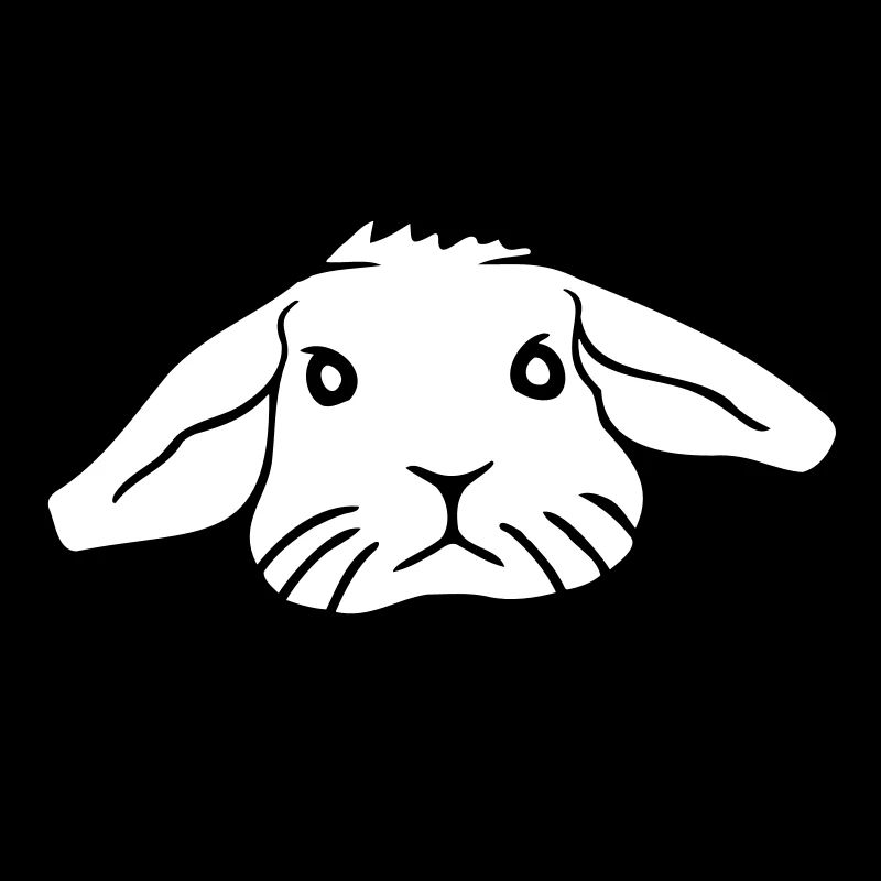 Bunny Rabbit Bunny Rodent Small Animal Cute