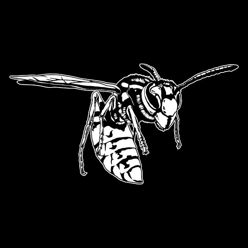 Cool Wasp Insect Sketch Graphic Wasp Animal Lover